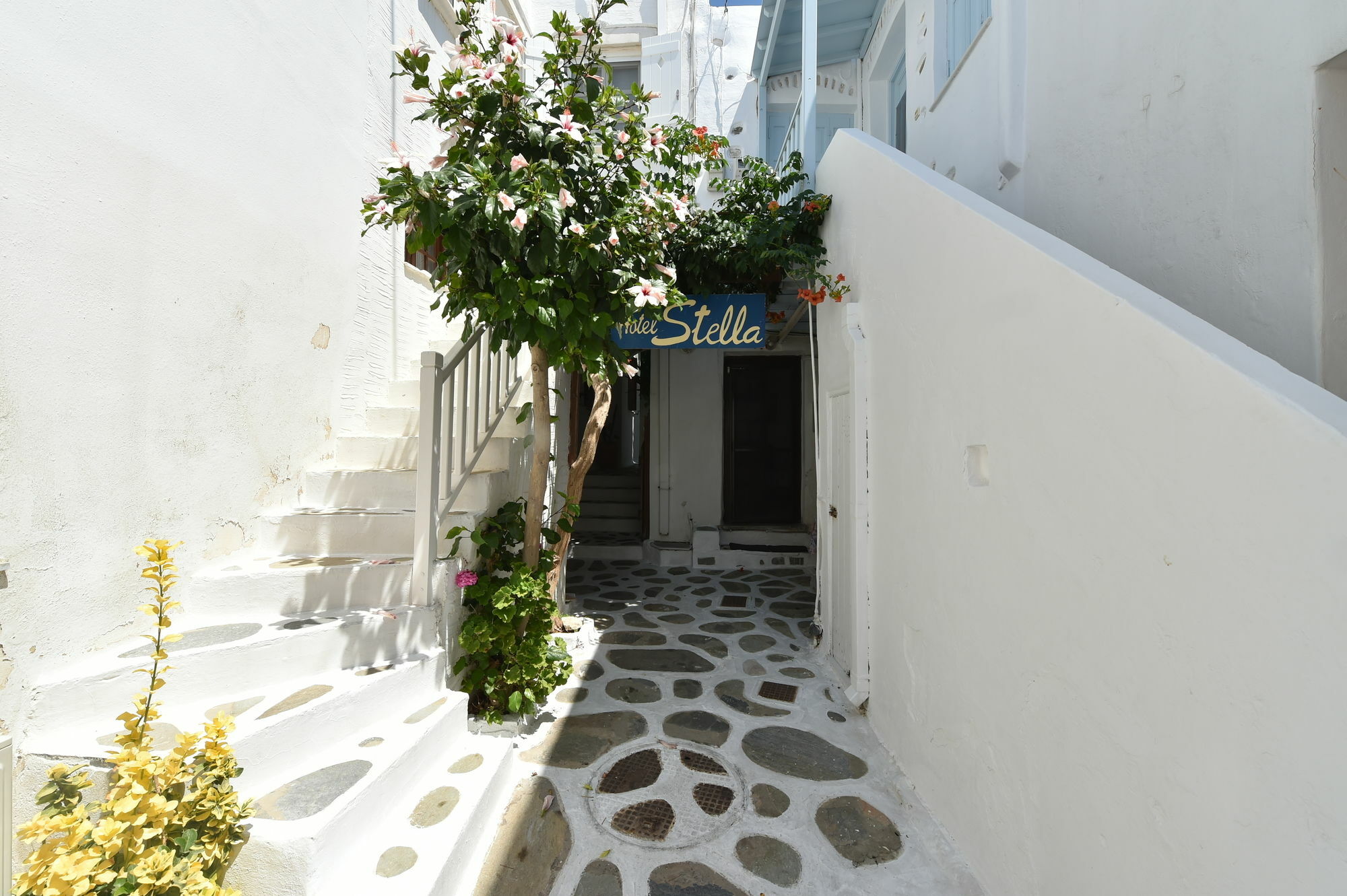 Hotel Stella Naousa  Exterior photo